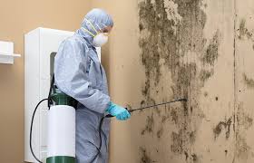 Asbestos and Lead Testing During Mold Inspection in Chestertown, MD